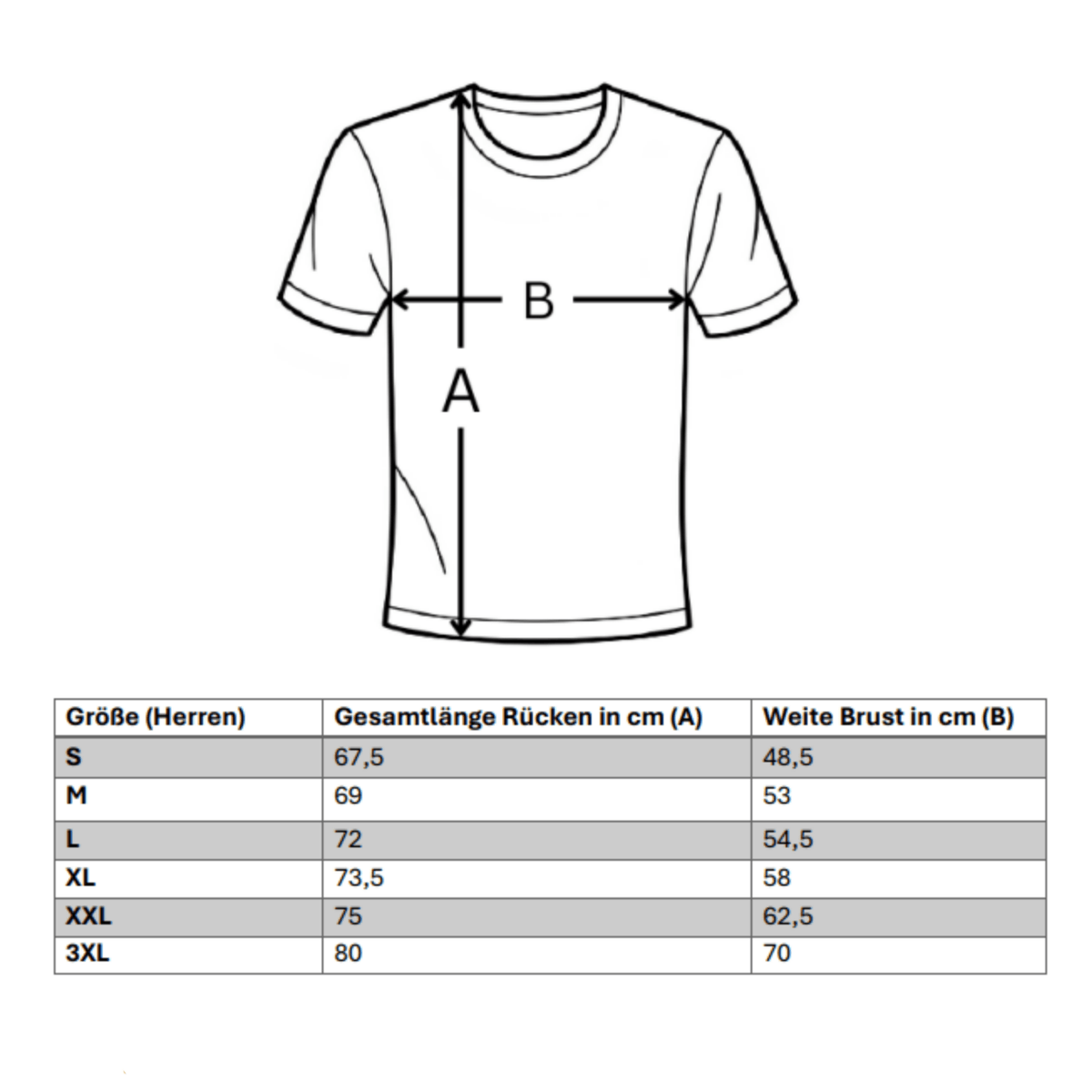 BVB BORUSSIA DORTMUND 2025/26 Maglia da trasferta uomo – Versione giocatore – ADEYEMI 27
