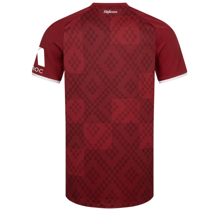 DYNAMO DRESDEN 3. Trikot Herren 24 / 25
