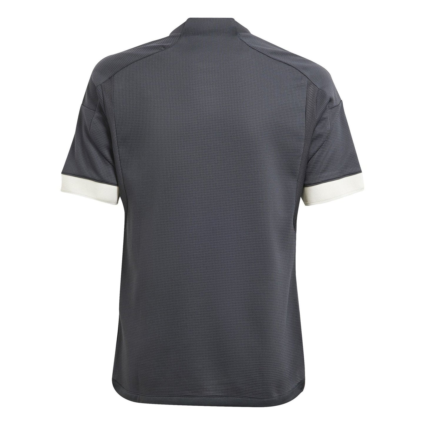 JUVENTUS TURIN Derde Shirt Kinderen 23 / 24