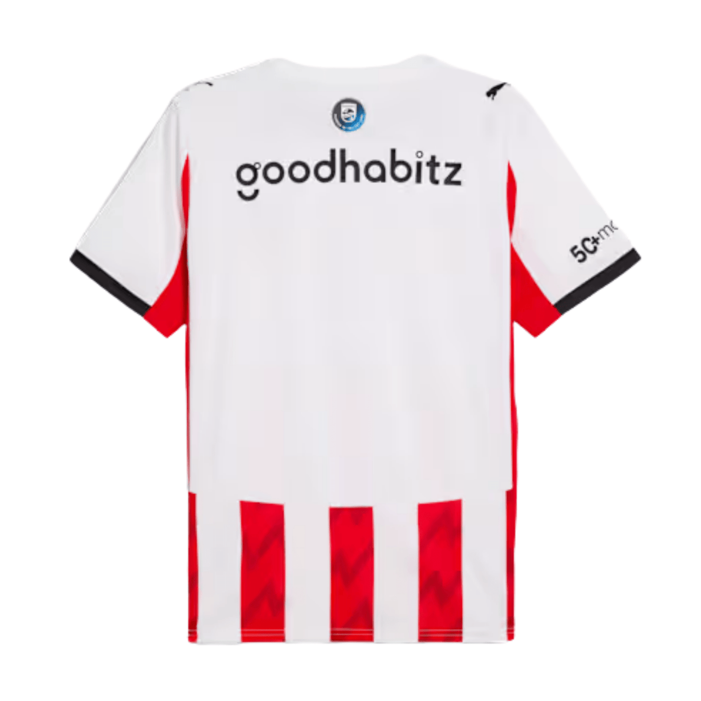 PSV EINDHOVEN thuisshirt heren 25 / 26