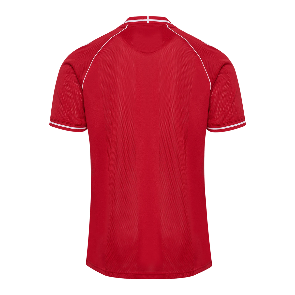 DBU DÄNEMARK 2026/27 Maglia da casa uomo