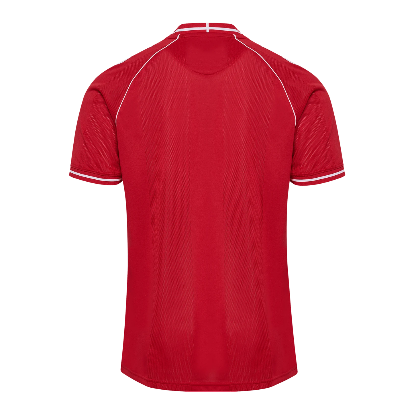 DBU DÄNEMARK Heimtrikot Herren 26 / 27
