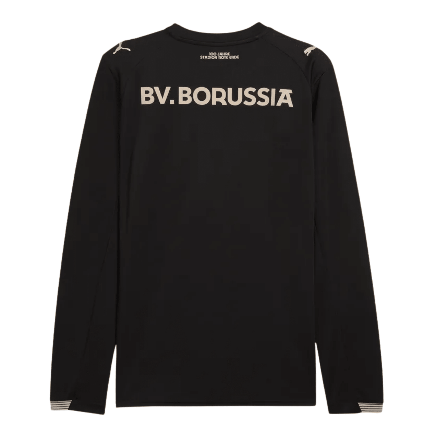 BVB BORUSSIA DORTMUND Spezialtrikot Herren Langarm 25 / 26