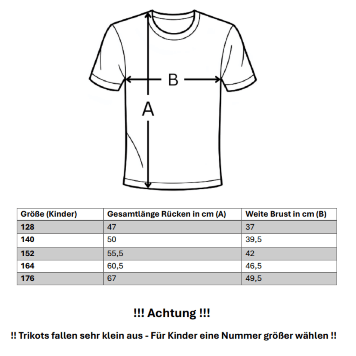BVB BORUSSIA DORTMUND 2025/26 Heimtrikot Kinder – ADEYEMI 27
