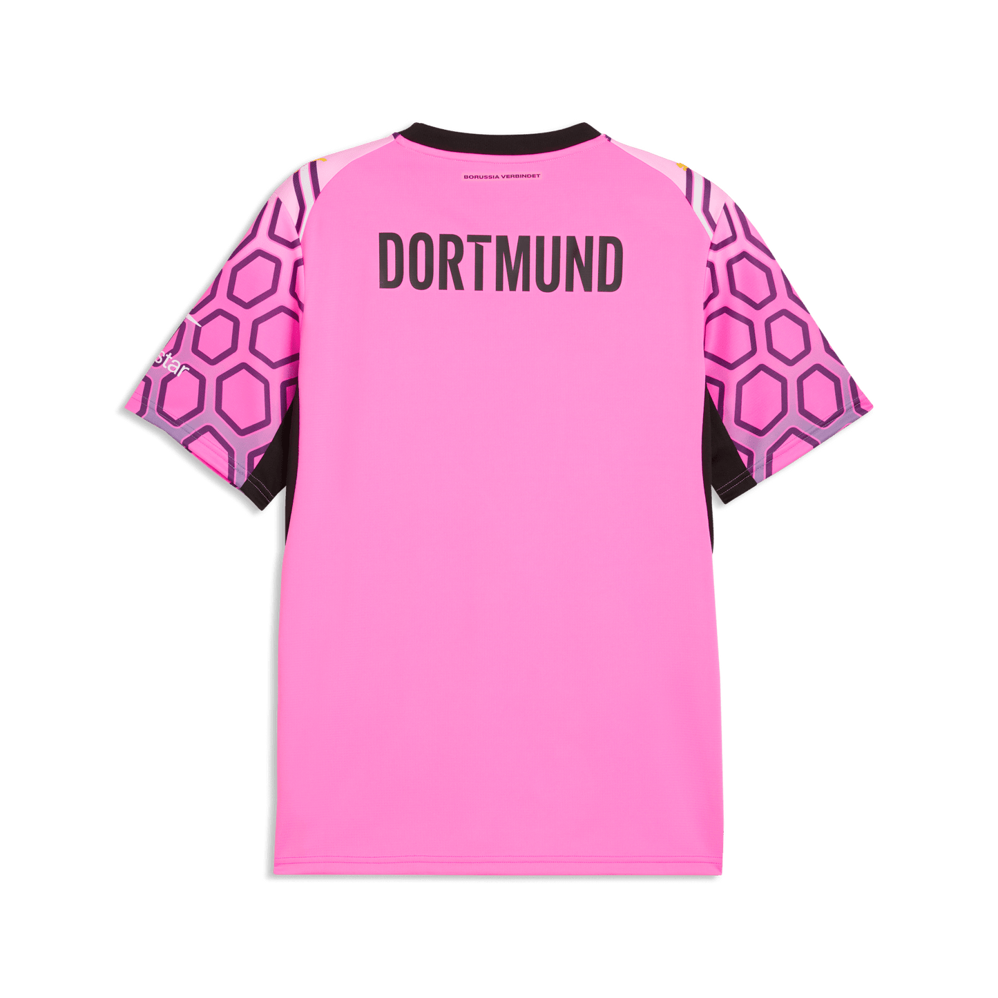 BVB BORUSSIA DORTMUND Torwarttrikot Herren Lila 26 / 27