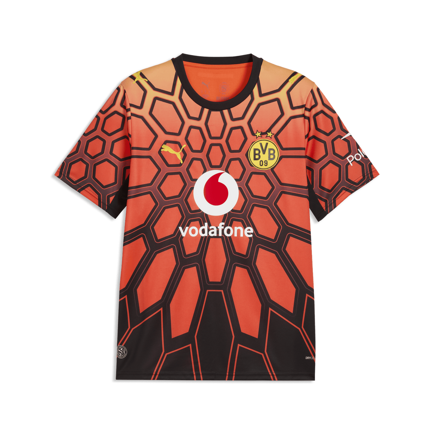 BVB BORUSSIA DORTMUND Torwarttrikot Herren Orange 26 / 27