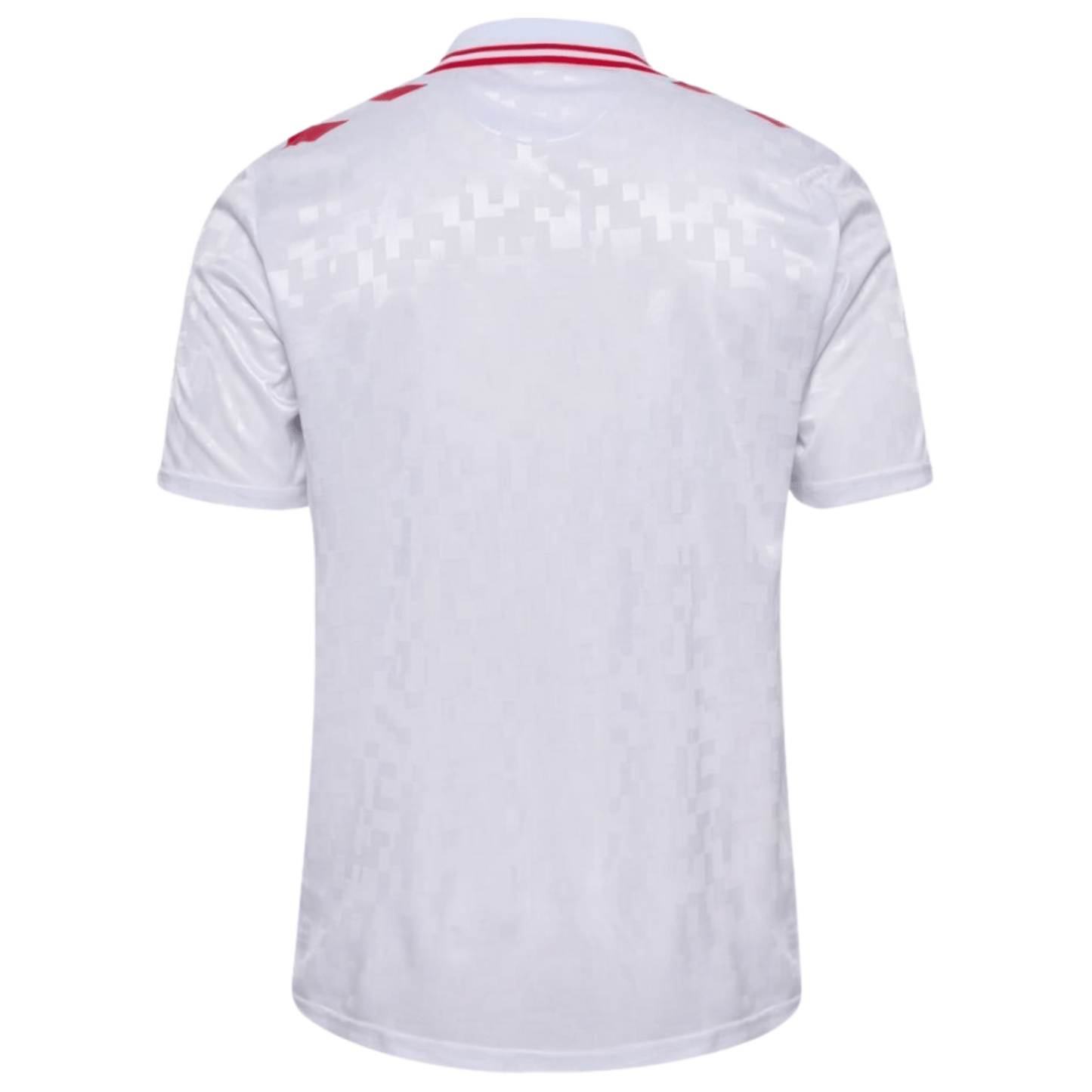 DBU DÄNEMARK Auswärts-Trikot Herren EURO 2024