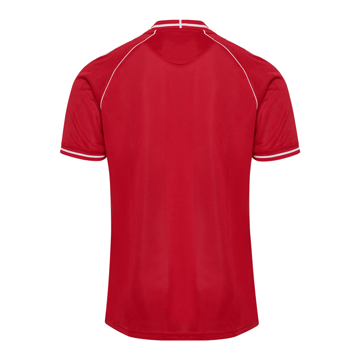 DBU DÄNEMARK 2026/27 Heimtrikot Kinder
