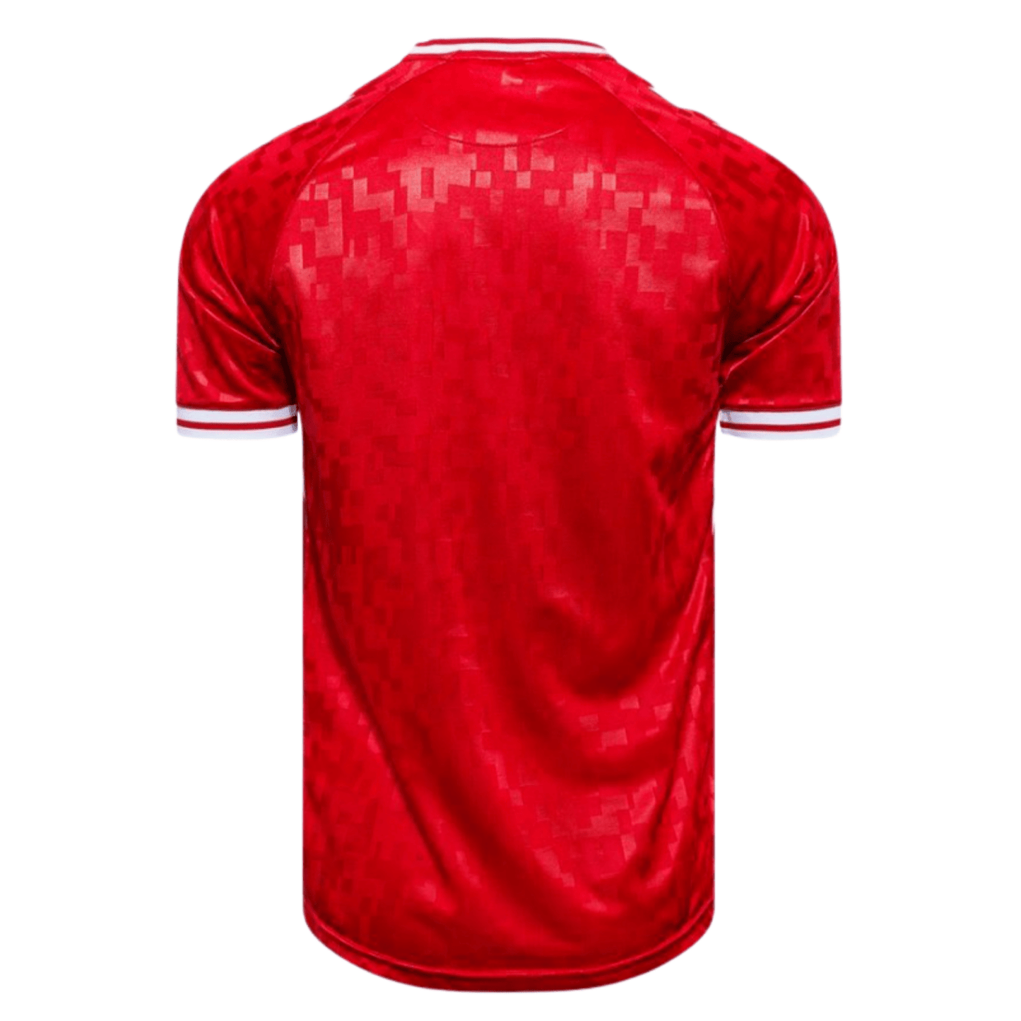 DBU DÄNEMARK Heimtrikot Kinder EURO 2024