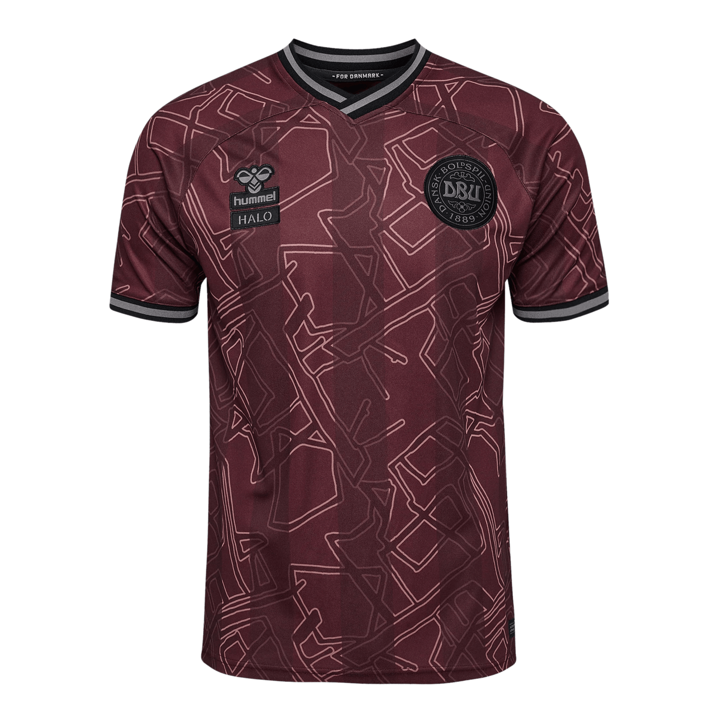DBU DÄNEMARK X HALO Jersey Spezial Herren 2024