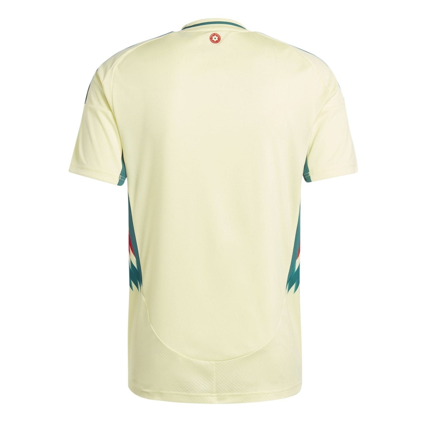 FAW WALES Auswärts-Trikot Herren 24 / 25