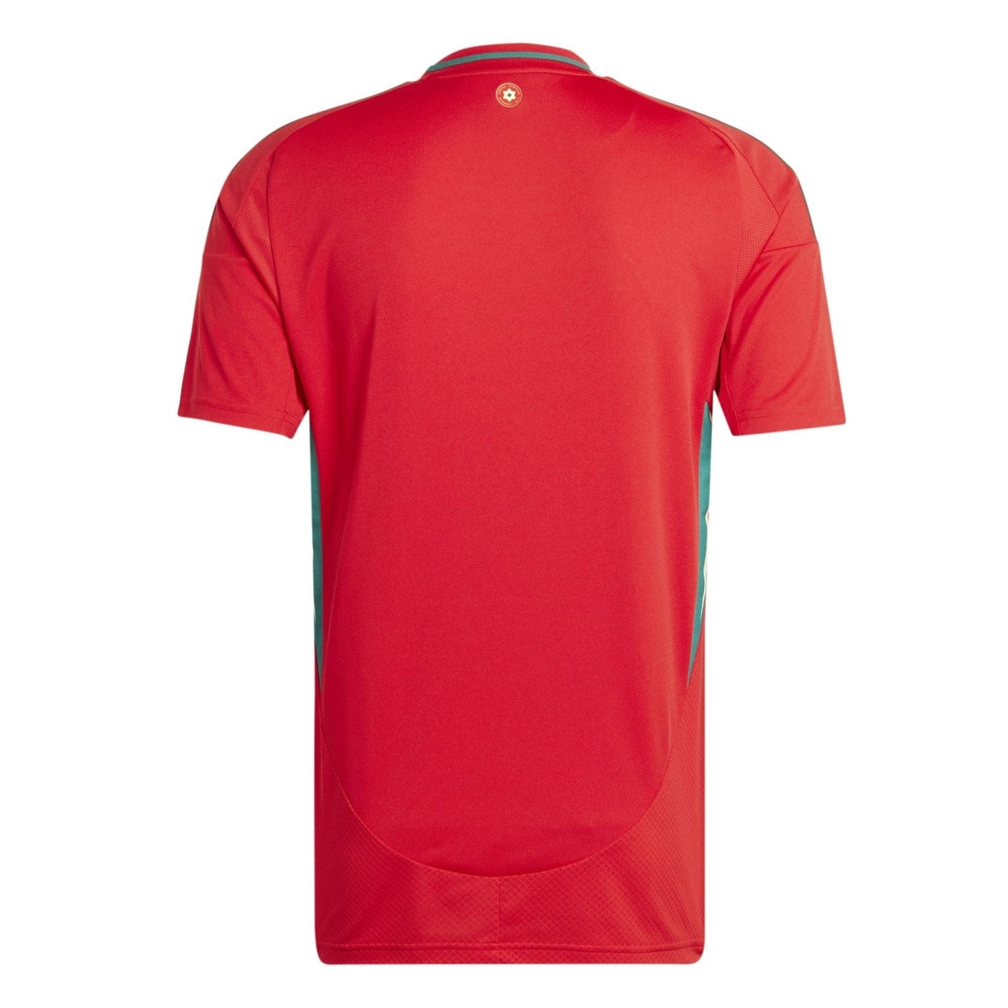 FAW WALES Heimtrikot Kinder 24 / 25