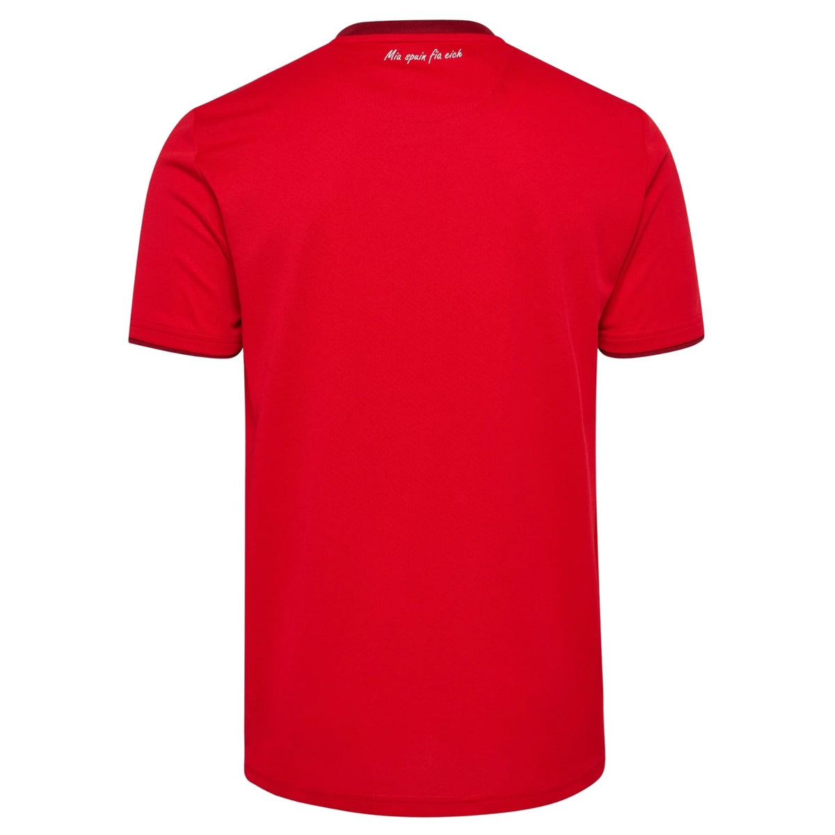 SSV JAHN REGENSBURG 2026/27 Uitshirt heren